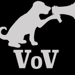 VeryOkVinyl